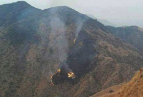 Pakistan crash pilot made mayday call after engine problem